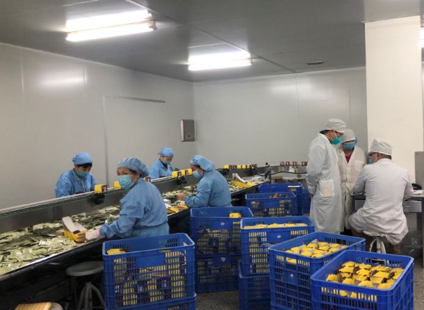 【初心如磐，，，，，使命在肩】js33333金沙线路检测第三党支部组织员工提前复工包管生产