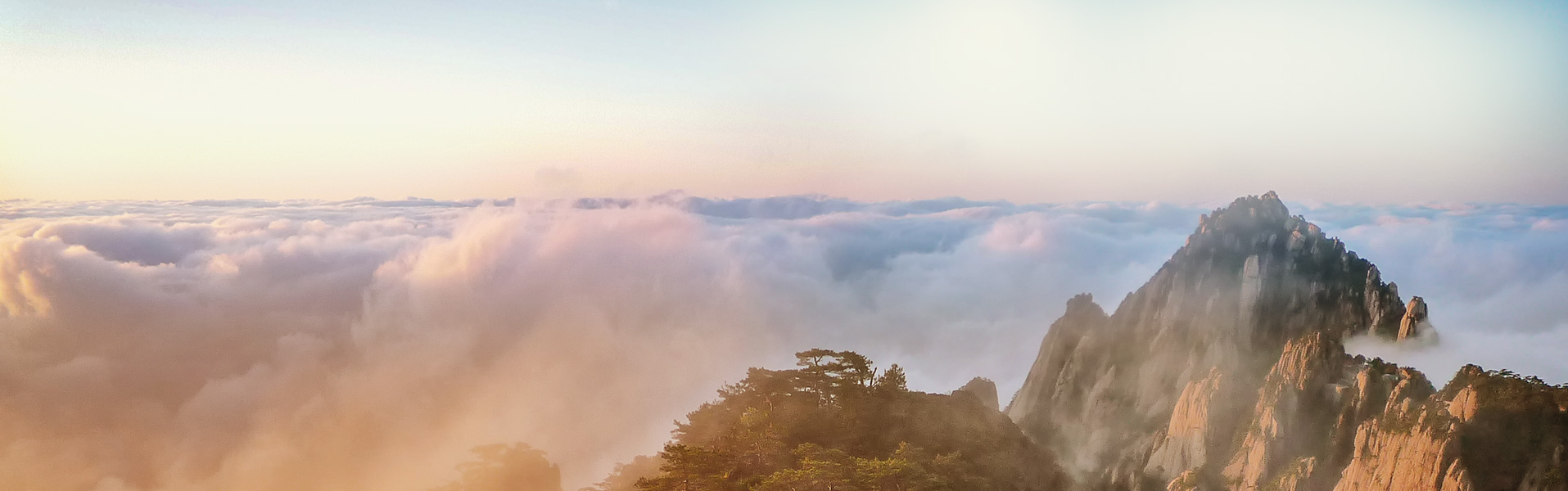 js33333金沙线路检测(中国游)有限公司官网