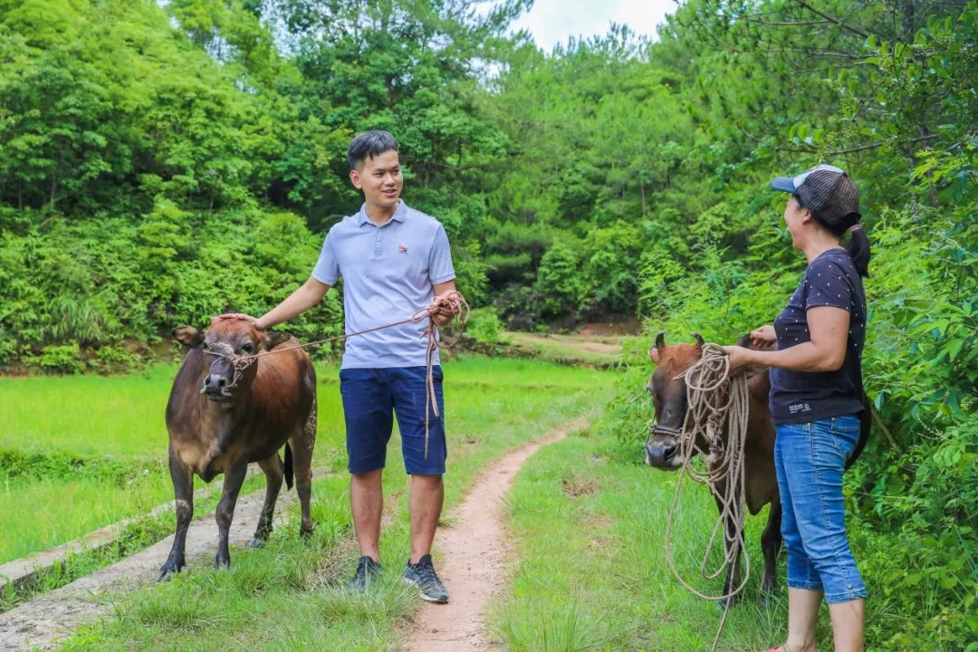 喜讯|白云山js33333金沙线路检测公司驻村干部巫小锦荣获广东省2019-2020年脱贫攻坚事情突出孝顺个人转达表扬