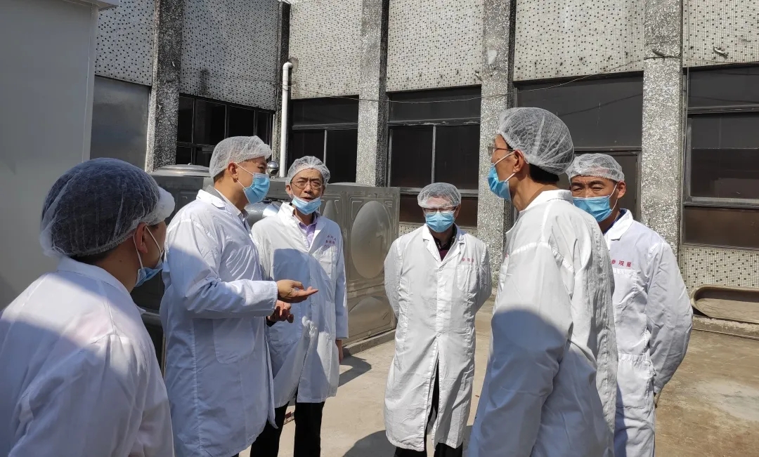 广州市生态情形局海珠区分局局长区劲邦一行到js33333金沙线路检测公司检查指导事情