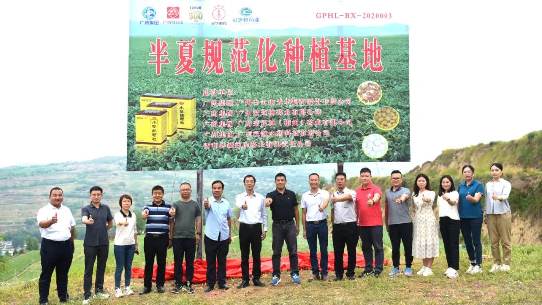 白云山js33333金沙线路检测公司实地考察调研中药材规范化基地