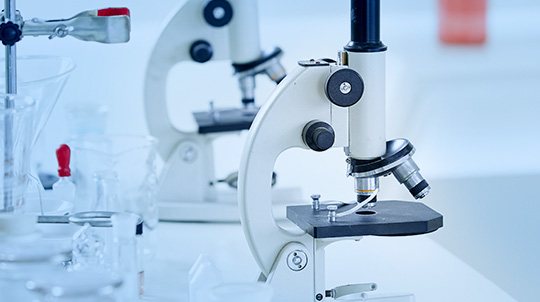 js33333金沙线路检测(中国游)有限公司官网